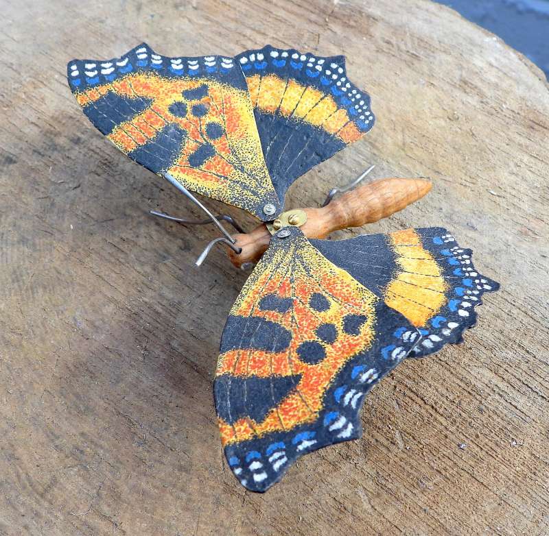 Large Tortoiseshell
